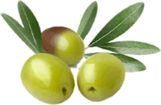 olivetrio olivetrio